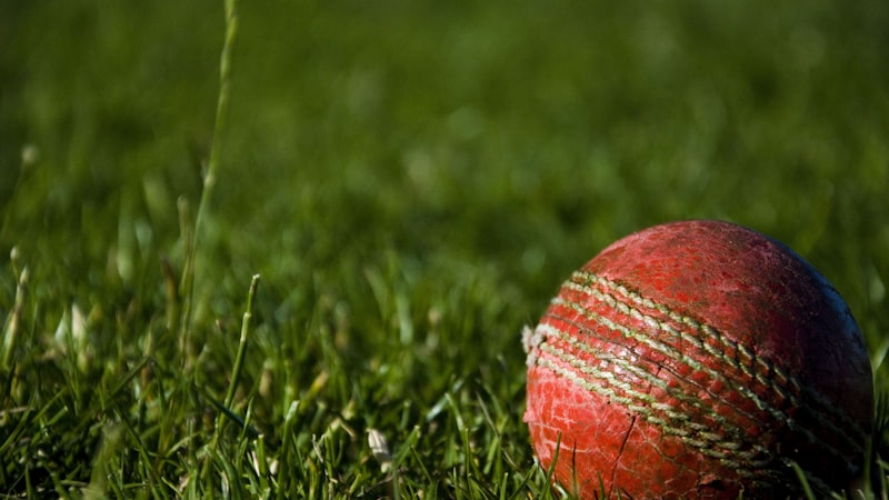 世界杯小组赛另一场焦点战直播画面：球员主罚任意球瞬间